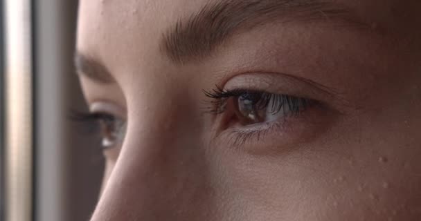 Female brown eyes with mascara on lashes looking on distance. Young woman with light makeup. Face detail. — Stock Video