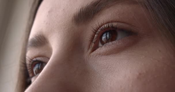 Krásné hnědé ženské oči s tenkými řasami a perfektně tvarovaným obočím. Zblízka ženský obličej. Detaily přírodní krásy. — Stock video