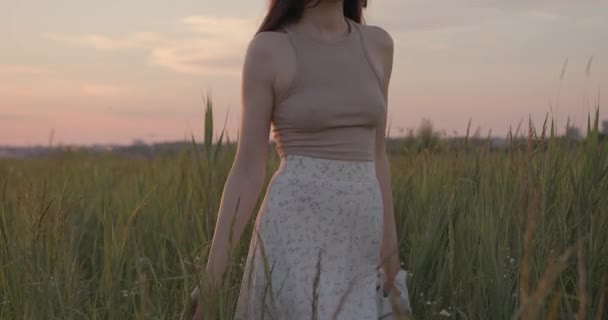 Close up de senhora andando no campo durante o pôr do sol de verão — Vídeo de Stock
