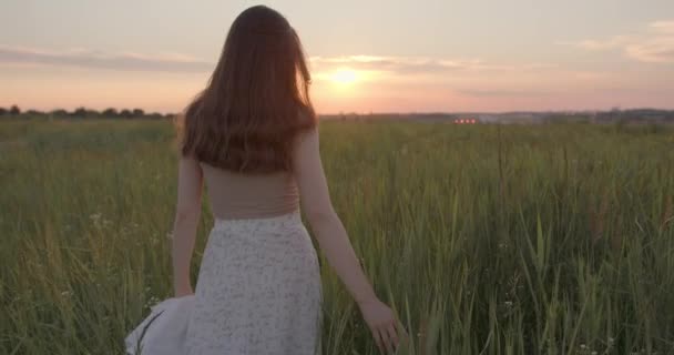 Rückansicht einer Frau, die während des sommerlichen Sonnenuntergangs auf einem Feld spaziert — Stockvideo
