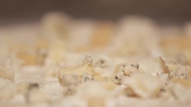 Farklı peynir çeşitleriyle sıra pizza hamurunu kapat