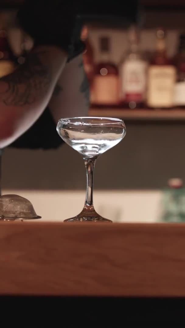 Barman met shaker voor het maken van alcoholische cocktail — Stockvideo