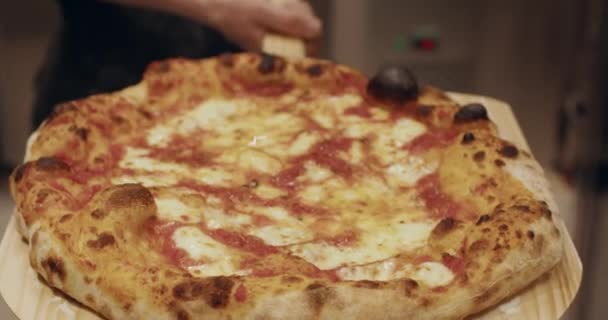 Pizzayola trzyma drewnianą łopatę ze świeżo upieczoną pizzą — Wideo stockowe