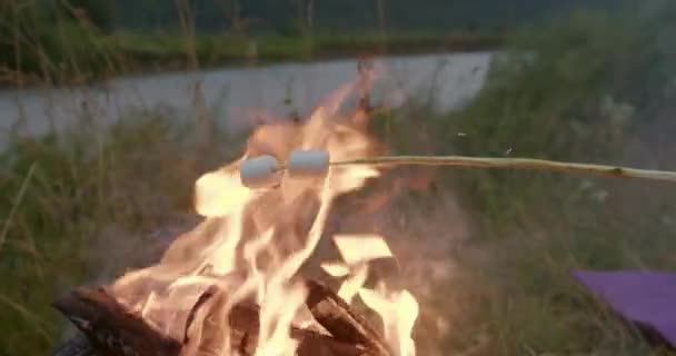 Close-up van vrouw roosteren marshmallow op vreugdevuur — Stockvideo