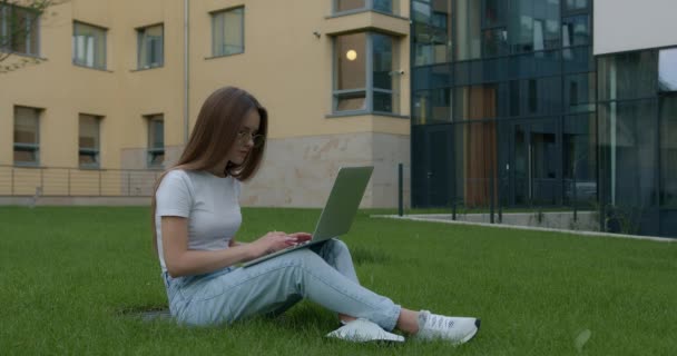 Красива жінка сидить на траві і друкує на ноутбуці — стокове відео