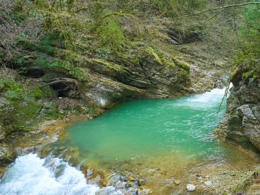 İlkbahar dağ dere. 