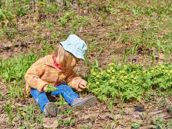 Ragazza felice sul prato con fiori gialli . — Foto Stock