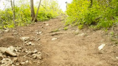 Sırt çantalı bir adam orman yolunda yokuş aşağı yürüyor. .
