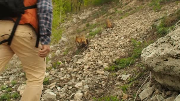 En man med en ryggsäck promenad uppför skog spår. Vandring. — Stockvideo