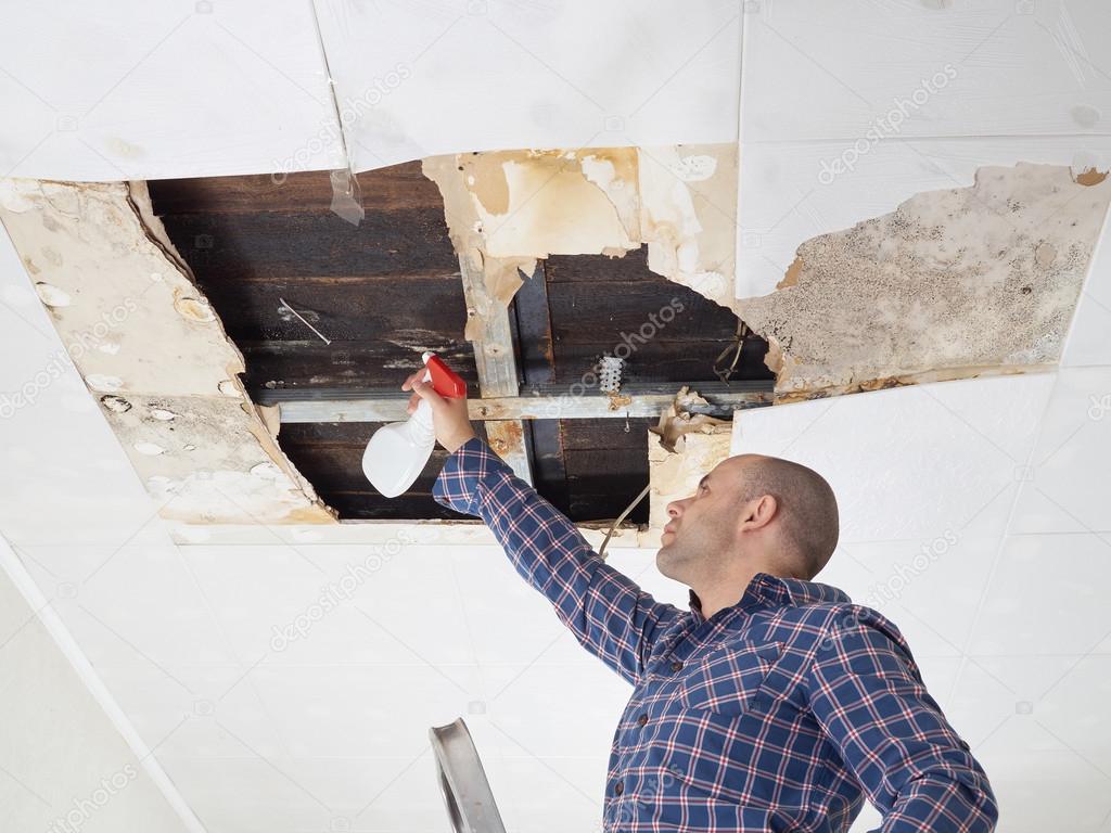 Man Cleaning Mold On Ceiling Stock Photo C Volkovslava