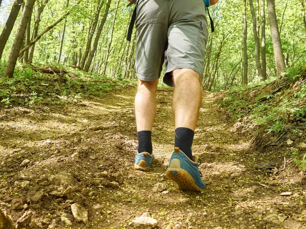 Egy férfi sétálni felfelé az erdei ösvényen . — Stock Fotó