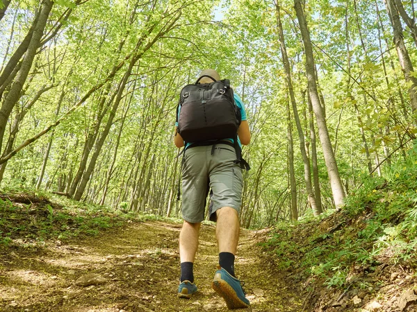 Bir adam orman patikasını yokuş yukarı doğru yürüyor. .