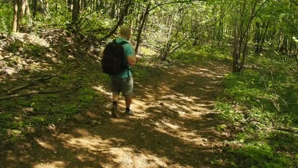 Um homem com uma mochila desce o caminho da floresta  . — Vídeo de Stock