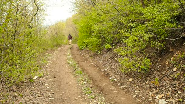 Toeristische man met een rugzak wandelen langs het bospad. — Stockvideo