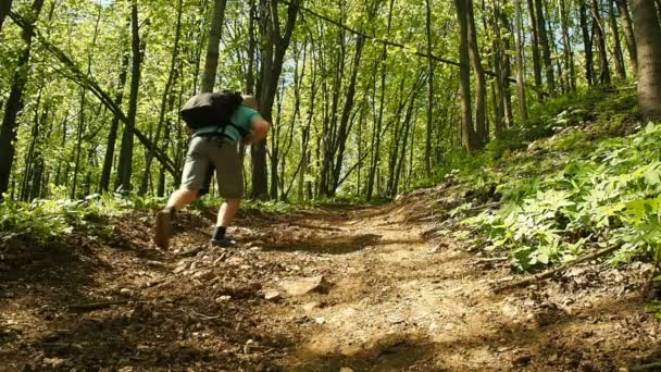 Bir adam bir sırt çantası ile orman yolun yokuş yukarı yürümek. Hiking. — Stok video