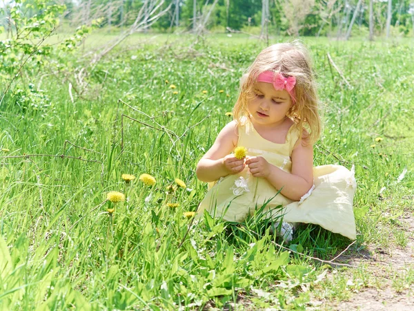 Dziewczyna siedzi na trawie z kwiatów mniszka lekarskiego. — Zdjęcie stockowe
