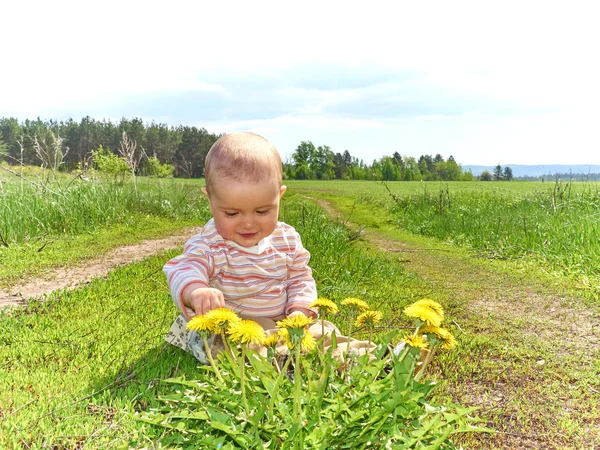 Sarı çiçek dandelions ile yeşil çayır üzerinde oturan bebek — Stok fotoğraf