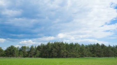 Orman ve yeşil alan üzerine Timelapse bulutlar. Full Hd,