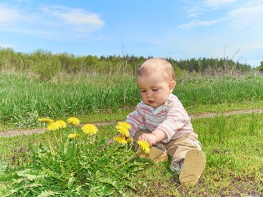 sarı çiçek dandelions ile yeşil çayır üzerinde oturan bebek