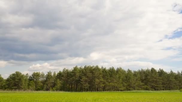 Awan ketepatan waktu di atas lapangan hijau dan hutan. HD FULL , — Stok Video