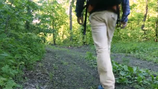 Hombre, turista, hombre con mochila, espalda del hombre, caminando, mochilero está caminando por sendero en el bosque, arbustos verdes, árboles verdes, al aire libre, verano, autunm, otoño — Vídeos de Stock