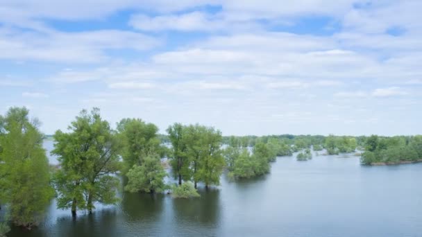 Overstroming rivier stroom, gemorste bos bomen na grote onweer. Natuur disasters,catastrophe,rainstorm.time vervallen — Stockvideo