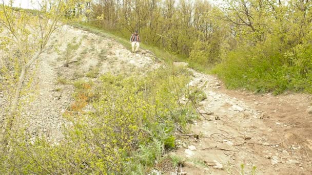 Pria dengan ransel berjalan menuruni bukit jejak hutan . — Stok Video