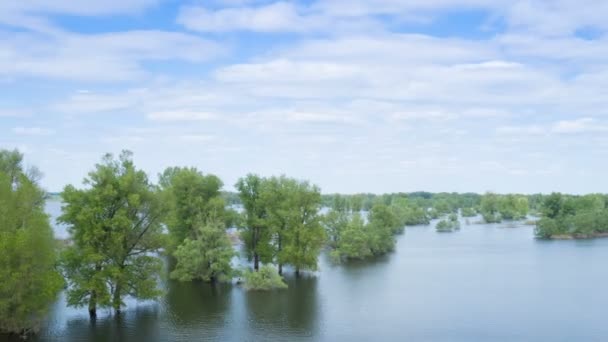 Flujo del río de inundación, árboles forestales derramados después de una gran tormenta eléctrica. Desastres de la naturaleza, catástrofe, lluvia.time lapse — Vídeos de Stock