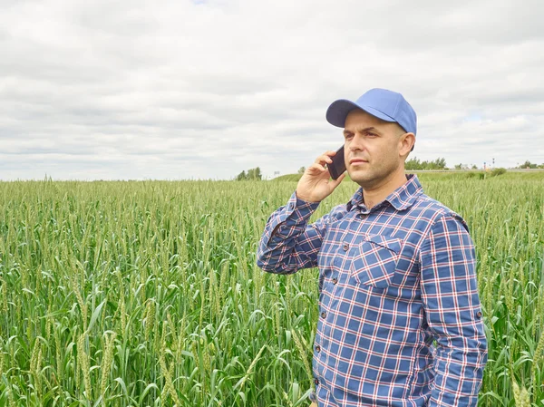 El granjero en una camisa a cuadros controlaba su campo.Hablando por teléfono . — Foto de Stock