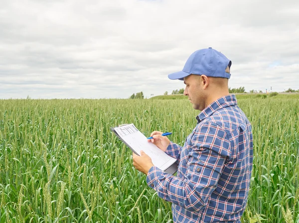 Farmer en camisa a cuadros controlaba su campo y escribía notas — Foto de Stock