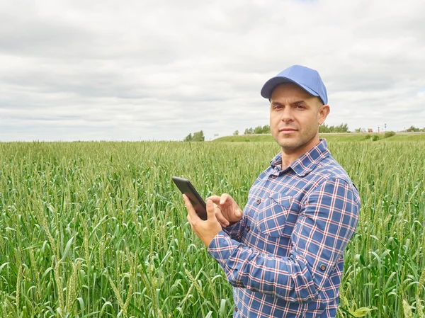 Agricultor em camisa xadrez controlou seu campo olhando para tablet — Fotografia de Stock