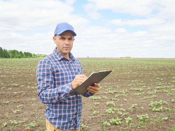 Boer in plaid shirt gecontroleerd zijn gebied en notities schrijven Rechtenvrije Stockfoto's