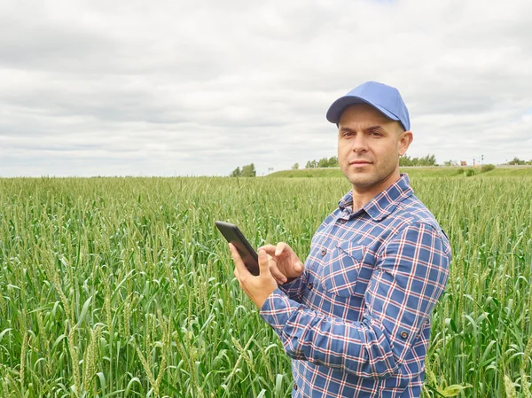 Boer in plaid shirt gecontroleerd zijn akker kijken naar Tablet PC Stockfoto