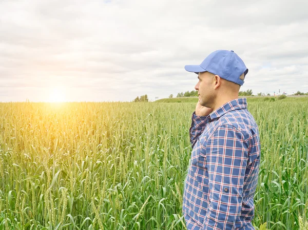 Farmer in a plaid shirt controlled his field.Talking on phone.