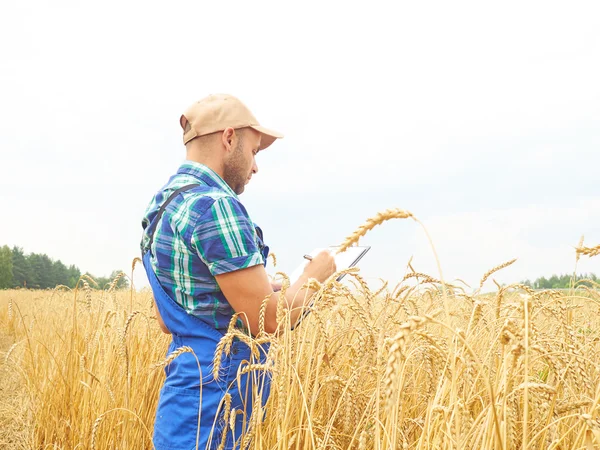 Farmer in a plaid shirt controlled his field and writing notes.