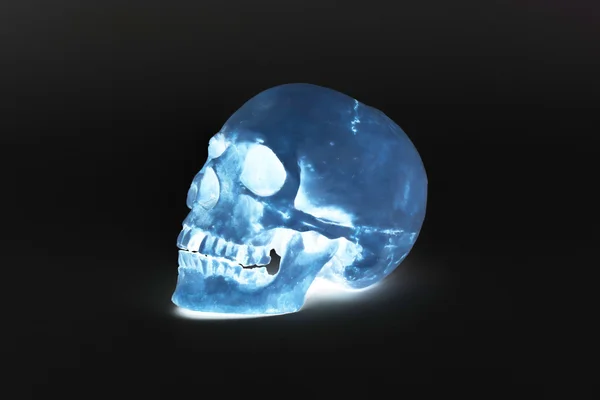 Human Skull - Stock Image — Stock Photo, Image