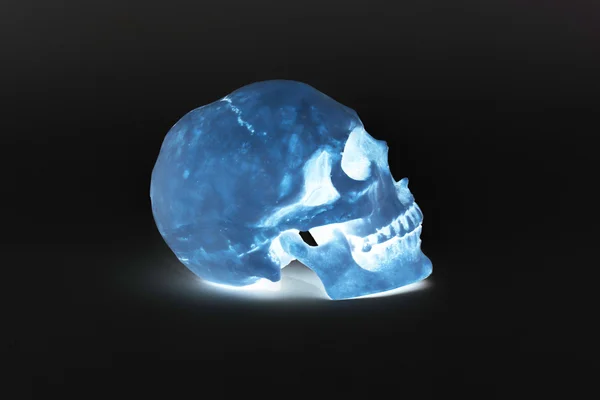 Cráneo humano - Imagen de stock —  Fotos de Stock