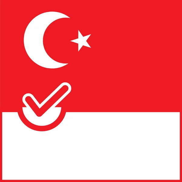 Símbolo de votación Bandera de Turquía — Vector de stock