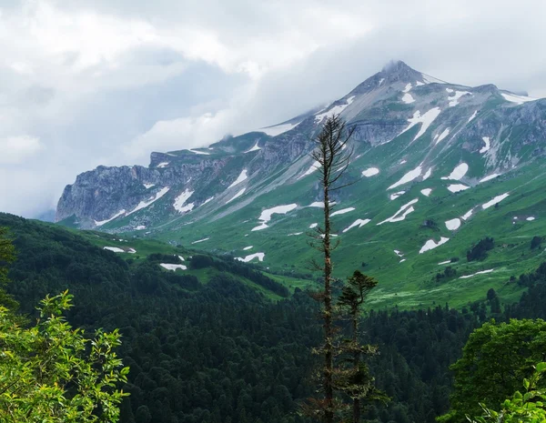 Hermoso valle en las montañas del Cáucaso —  Fotos de Stock