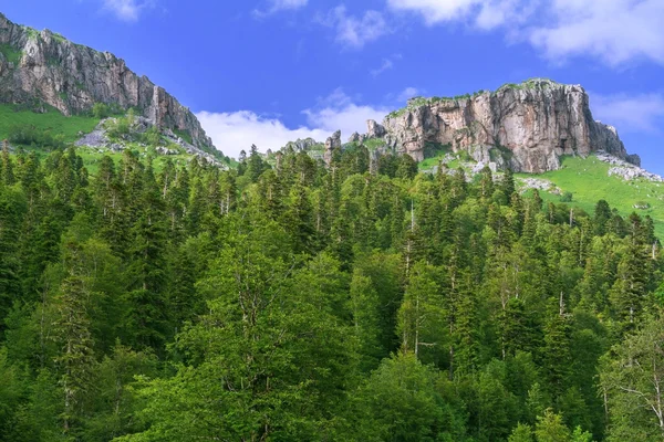Kafkas Dağları güzel vadi — Stok fotoğraf