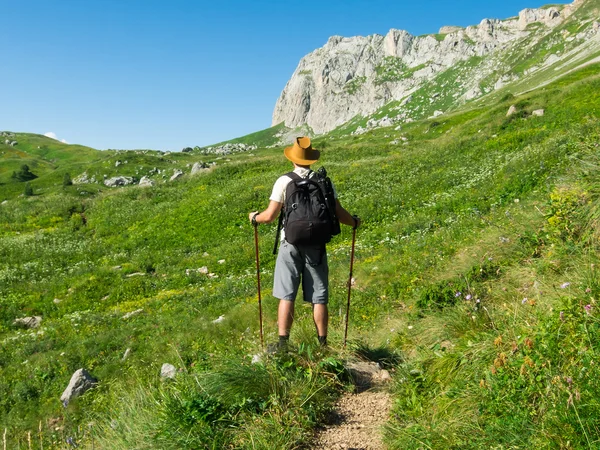 Caminhante masculino com mochila — Fotografia de Stock