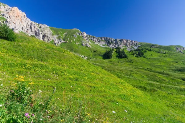 Çiçek güzel alanlar