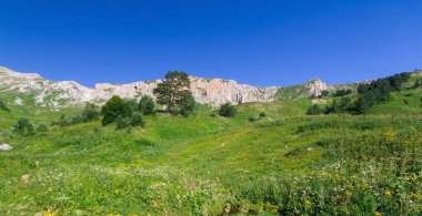 Çiçek güzel alanlar