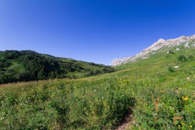 Çiçek güzel alanlar