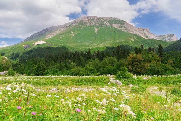 Kuzey Kafkasya — Stok fotoğraf