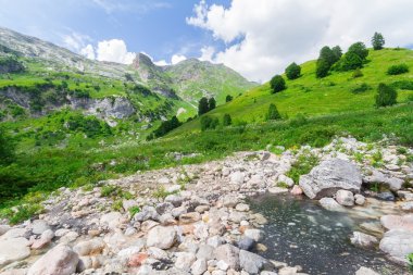 Brook Kuzey Kafkasya.