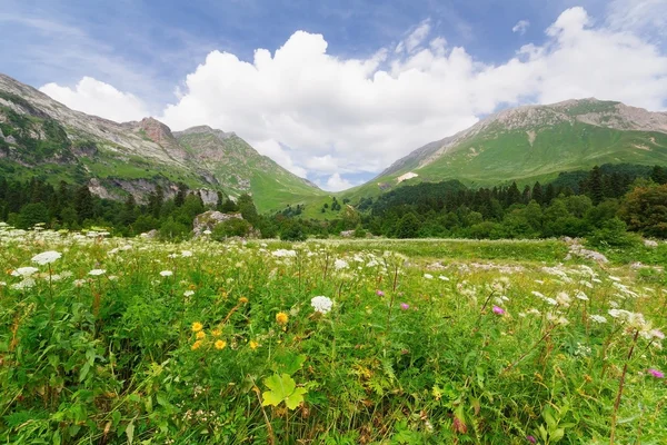 Severní Kavkaz — Stock fotografie