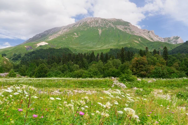 Kuzey Kafkasya — Stok fotoğraf