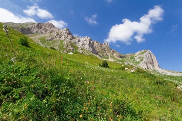 Kuzey Kafkasya — Stok fotoğraf