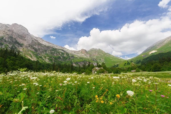 Severní Kavkaz — Stock fotografie